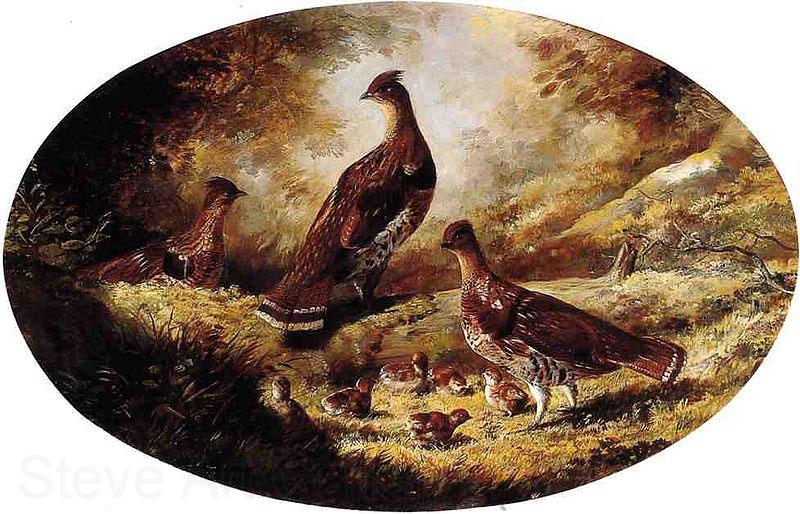 Ferdinand Richardt Grouse Family Spain oil painting art